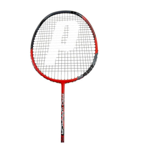 Prince Pro Warrior Badmintonschläger Twin Set: Graphit, inkl. Federbälle, schützende Taschen, ideal für Freizeitspieler.