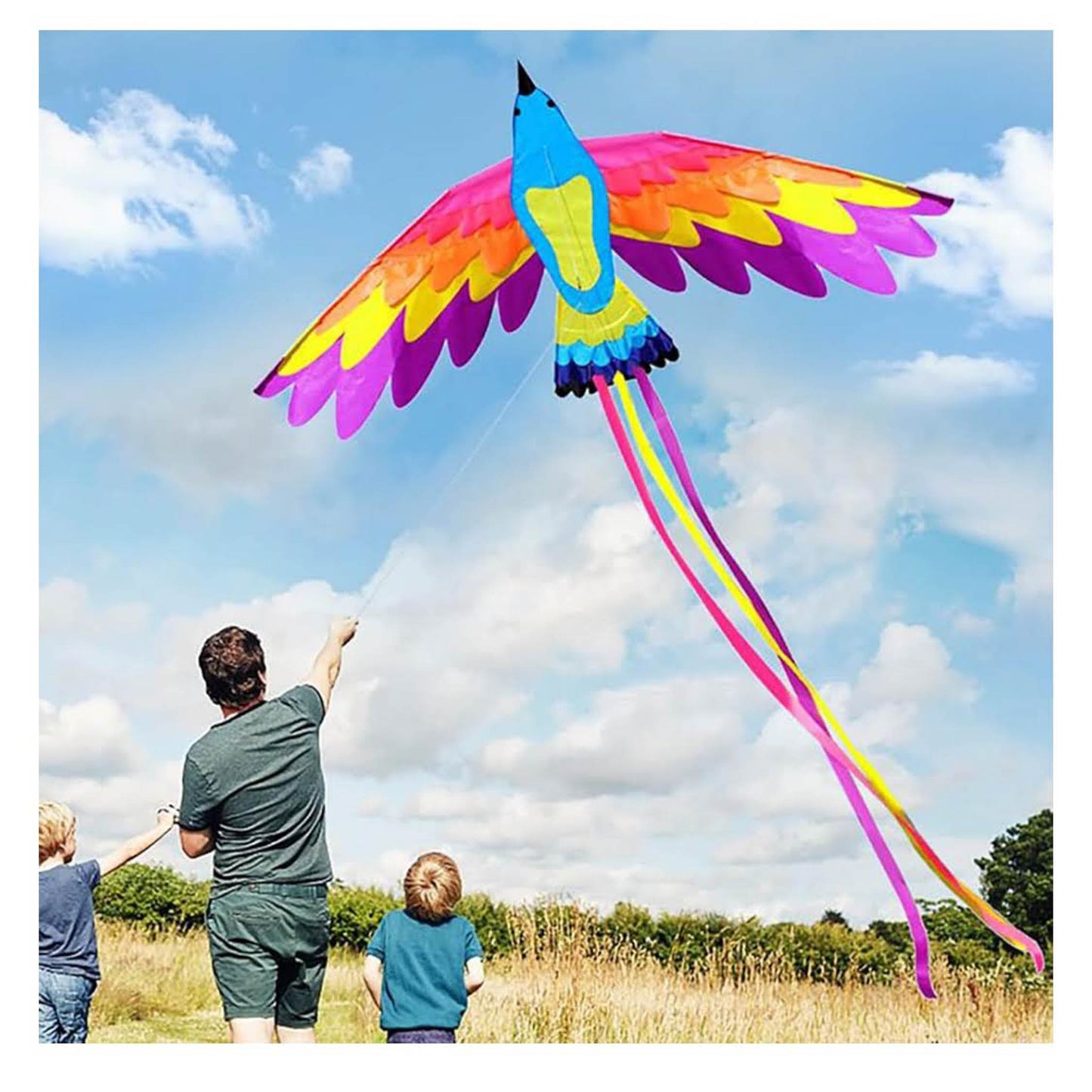 VIKY Phoenix Drachen, Einleiner, 90x180cm, für Kinder und Erwachsene, inkl. 100m Schnur, einfach zu fliegen.