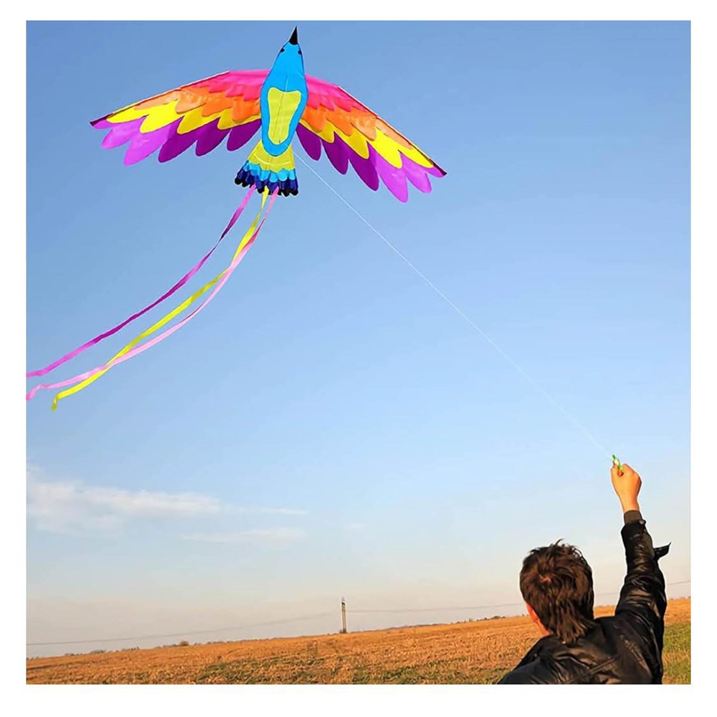 VIKY Phoenix Drachen, Einleiner, 90x180cm, für Kinder und Erwachsene, inkl. 100m Schnur, einfach zu fliegen.