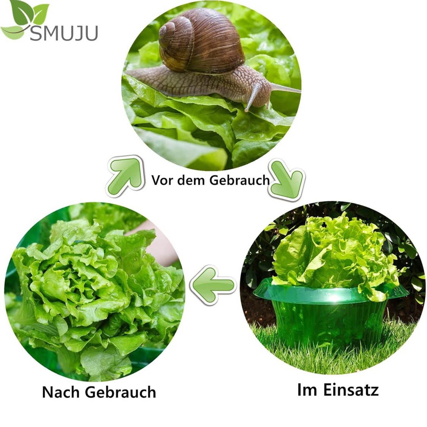 SMUJU 12 Teile, Schutzkragen, Anti-Schnecken, Ø 24 cm, grün, schützt Salat und Kohlpflanzen vor Tierschäden.