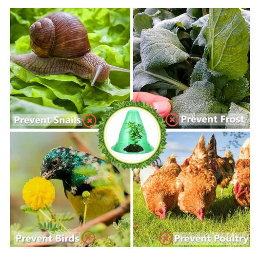 20 große wiederverwendbare Glocken für Pflanzen, 24x27 cm, Schutz vor Schnecken und Frost, ideal für Gemüseanbau.