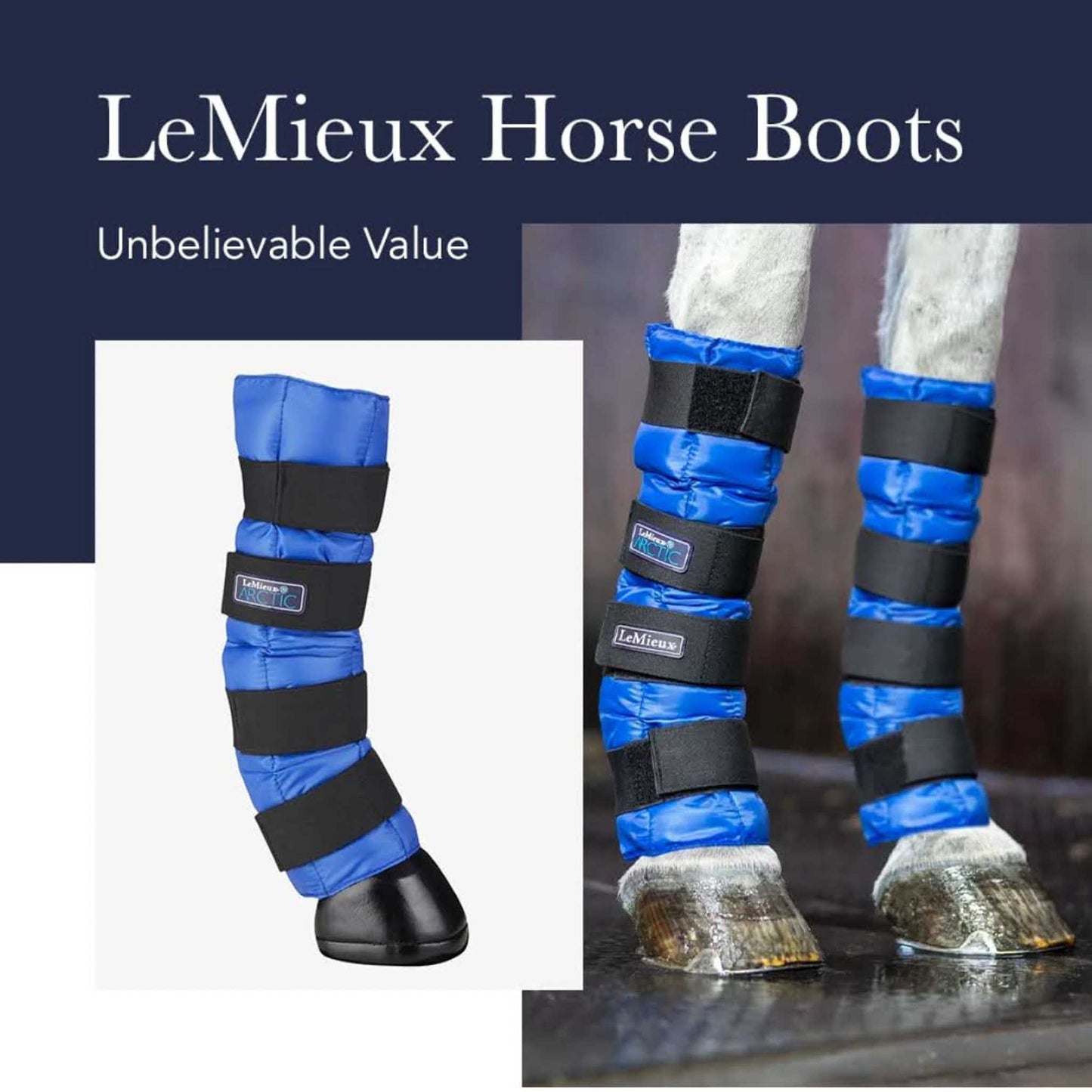 LeMieux ProIce Freeze Therapy, Pferdegamaschen, Schutzausrüstung, effektive Kühlung, große Größe, ideal für Training und Regeneration.