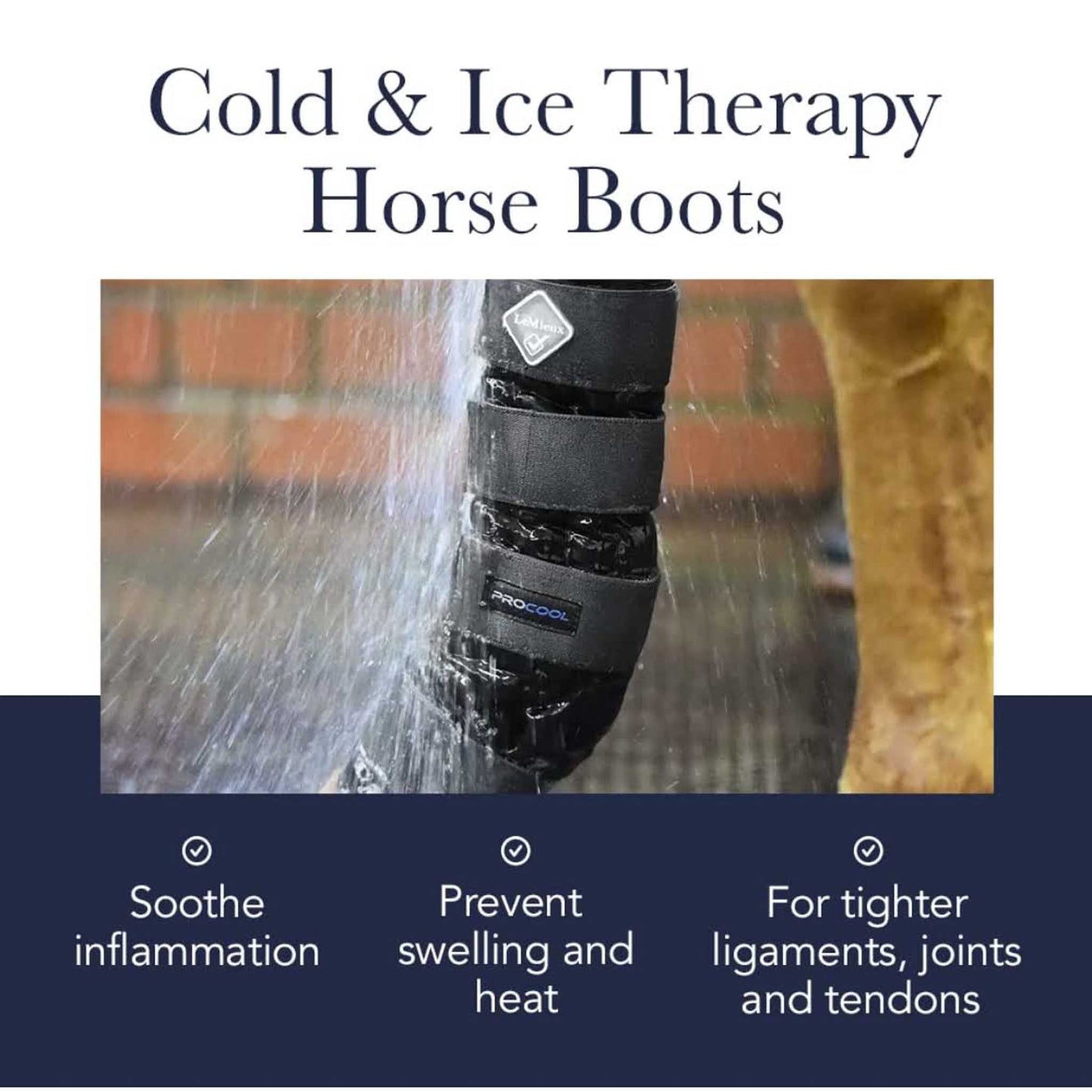 LeMieux ProIce Freeze Therapy, Pferdegamaschen, Schutzausrüstung, effektive Kühlung, große Größe, ideal für Training und Regeneration.