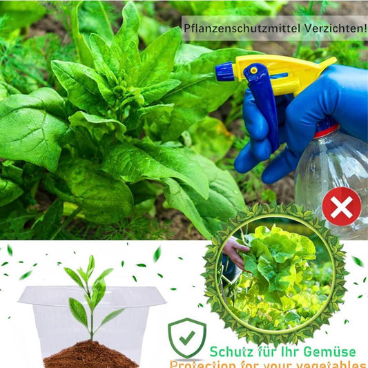 SMUJU Schneckenkragen, Ø 24 cm, Schneckenschutzringe, transparent, schützt Salat und Kohl vor Schnecken.