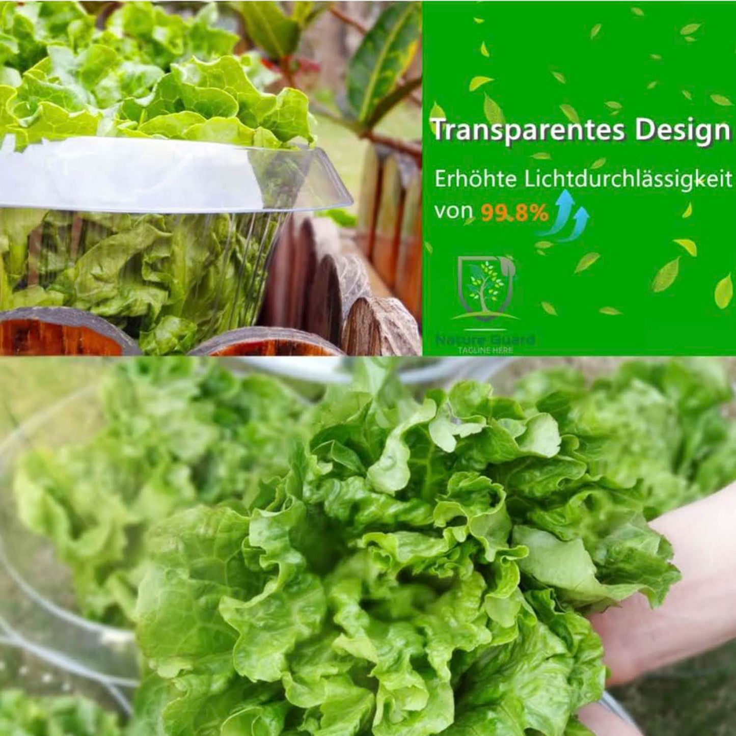 SMUJU Schneckenkragen, Ø 24 cm, Schneckenschutzringe, transparent, schützt Salat und Kohl vor Schnecken.