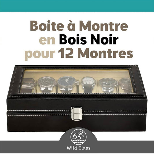 Wild Class, Herren-Uhrbox, 12 Standorte, Luxus, Männeruhr, innovatives Kohlenstoffdesign