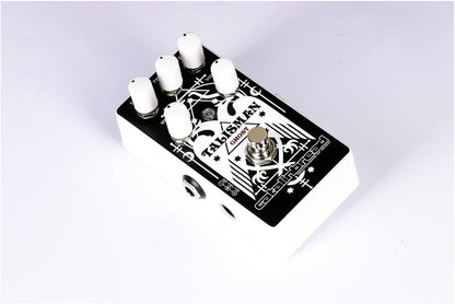 Catalinbread Talisman Reverb Pedal, Studio Plate Effektgerät, Schwarz-Weiß, vielseitige Klangregelung, kompakt für Gitarren