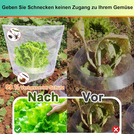 SEOIMU Schneckenkragen, Upgrade, Insektenschutz, 20 Stück, 99% Schneckenschutz, stabiler Ring, ideal für Kopfsalat und Kohl.