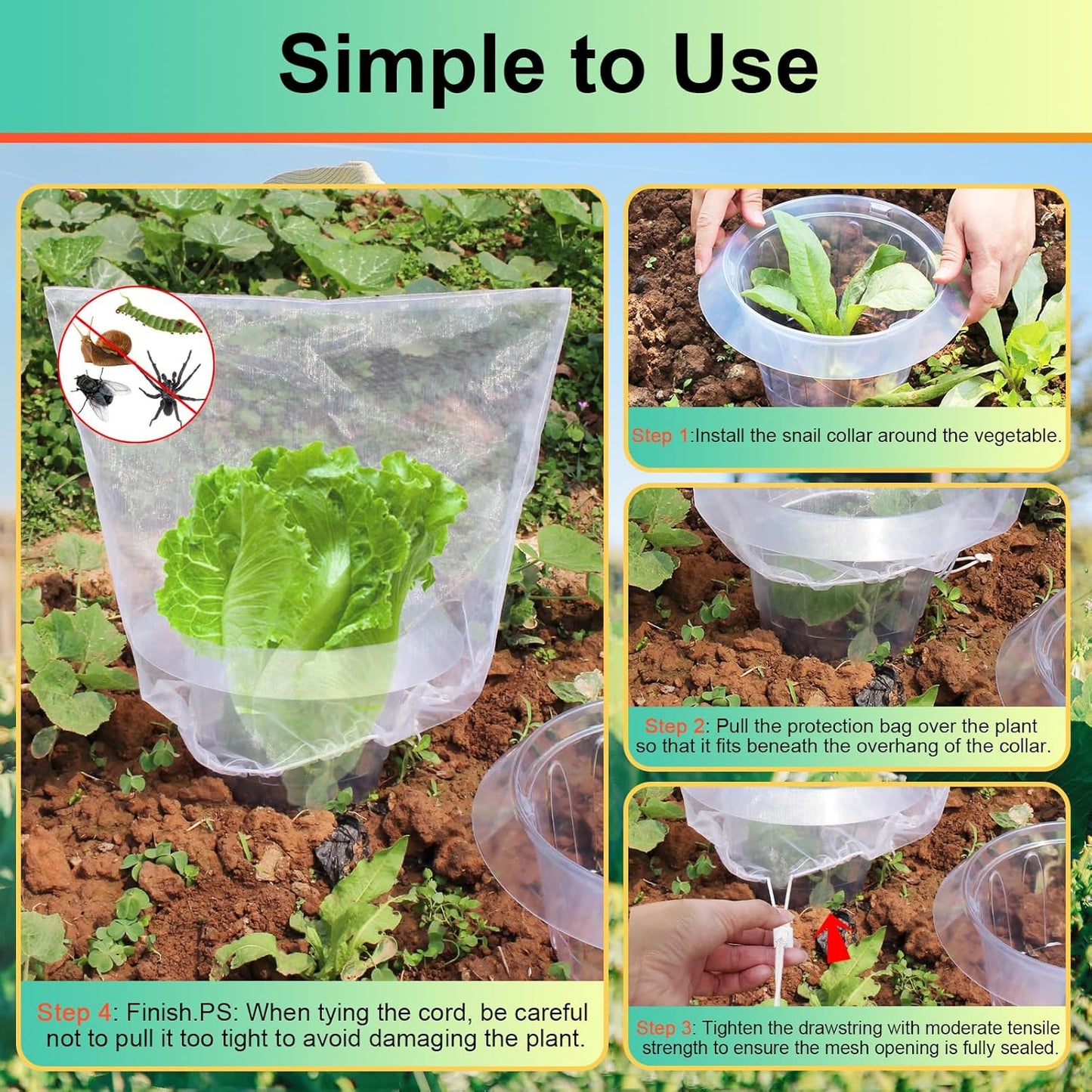 SEOIMU Schneckenkragen, Upgrade, Insektenschutz, 20 Stück, 99% Schneckenschutz, stabiler Ring, ideal für Kopfsalat und Kohl.