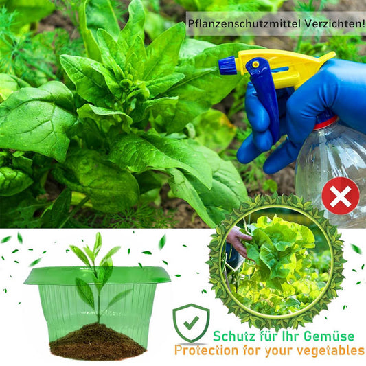 SMUJU 12 Teile, Schutzkragen, Anti-Schnecken, Ø 24 cm, grün, schützt Salat und Kohlpflanzen vor Tierschäden.