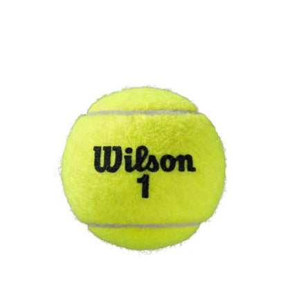 Wilson Roland Garros All Court, Unisex, Tennisbälle, 3x4er Pack, vielseitig, ideal für alle Plätze, optimale Spielkontrolle.