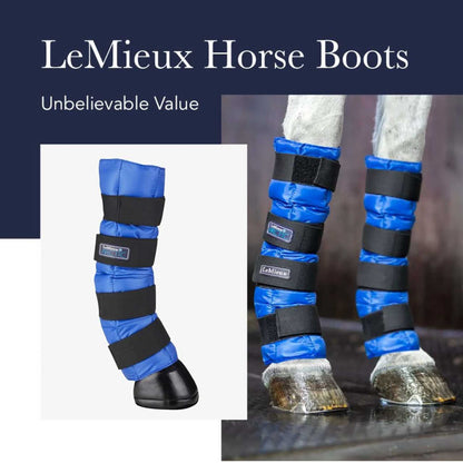 LeMieux ProIce Freeze Therapy, Pferdegamaschen, Schutzausrüstung, effektive Kühlung, große Größe, ideal für Training und Regeneration.