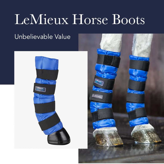 LeMieux ProIce Freeze Therapy, Pferdegamaschen, Schutzausrüstung, effektive Kühlung, große Größe, ideal für Training und Regeneration.