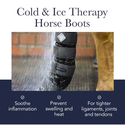 LeMieux ProIce Freeze Therapy, Pferdegamaschen, Schutzausrüstung, effektive Kühlung, große Größe, ideal für Training und Regeneration.