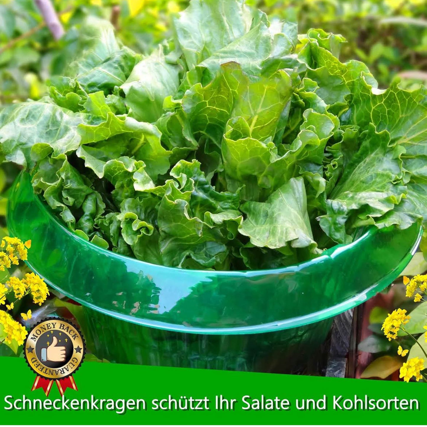 SMUJU, Ø 24 cm, Schneckenschutz, 25 Teile, grün, schützt Salat und Kohl vor Tierschäden, anti-Leuchten.